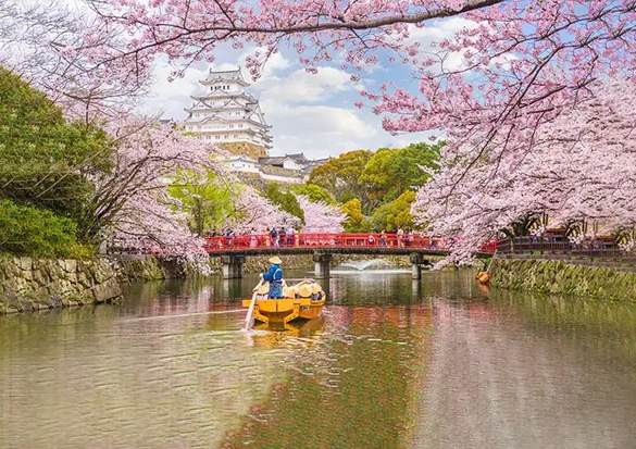 Oceania Cruises Shore Excursions 3.jpg